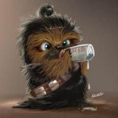 HanSolo22